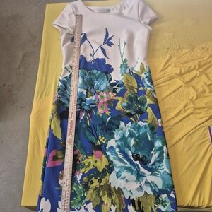 Sandra Darren White Bodice Blue & Teal Floral Fit-and-Flare Dress